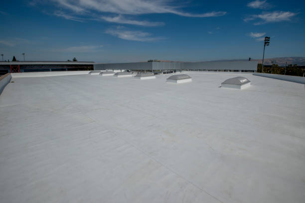 Best Rubber Roofing (EPDM, TPO)  in Navy, VA